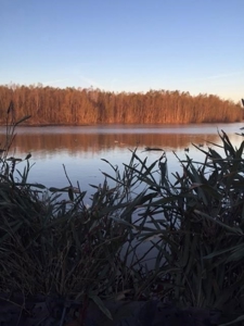 Southside Hunting Shares for Sale in Jefferson County, MS - image 27