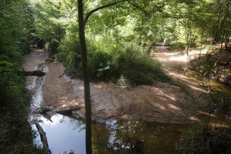 Southside Hunting Shares for Sale in Jefferson County, MS - image 24