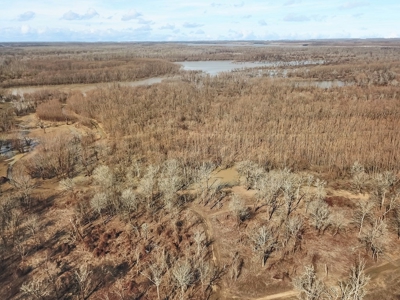 Southside Hunting Shares for Sale in Jefferson County, MS - image 17