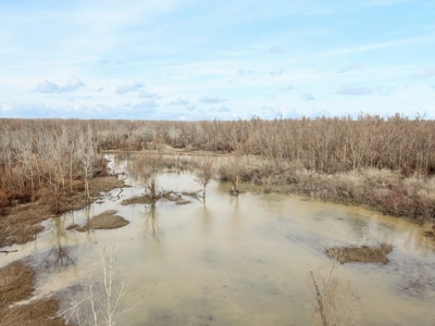Southside Hunting Shares for Sale in Jefferson County, MS - image 14