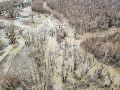 Southside Hunting Shares for Sale in Jefferson County, MS - image 13