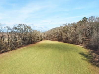 Southside Hunting Shares for Sale in Jefferson County, MS - image 8