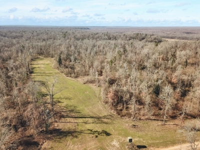 Southside Hunting Shares for Sale in Jefferson County, MS - image 5