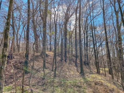 Southside Hunting Shares for Sale in Jefferson County, MS - image 19