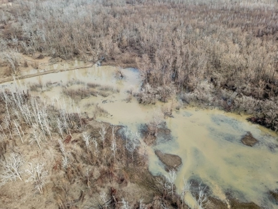 Southside Hunting Shares for Sale in Jefferson County, MS - image 12