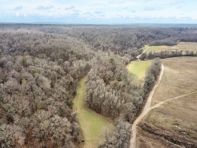 Southside Hunting Shares for Sale in Jefferson County, MS - image 6
