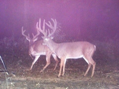 Southside Hunting Shares for Sale in Jefferson County, MS - image 29