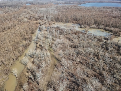 Southside Hunting Shares for Sale in Jefferson County, MS - image 16
