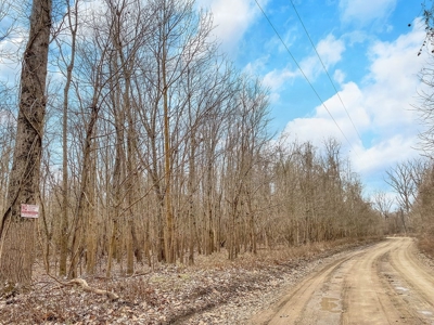 Southside Hunting Shares for Sale in Jefferson County, MS - image 20