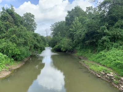 Southside Hunting Shares for Sale in Jefferson County, MS - image 37