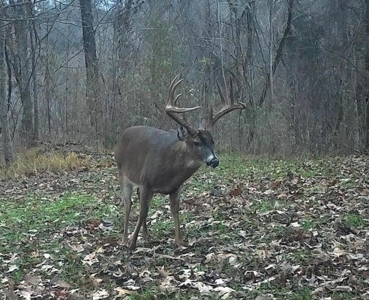 Southside Hunting Shares for Sale in Jefferson County, MS - image 31