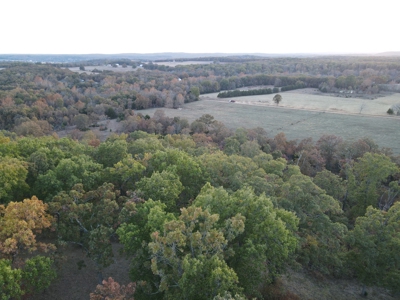 Land For Sale Collins, Mo - image 29