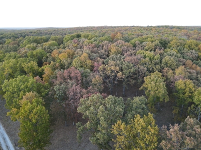 Land For Sale Collins, Mo - image 11