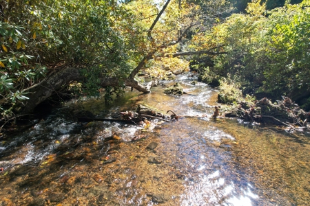1.5 Story Home - 31 Acres - Located In Patrick County, Va - image 44