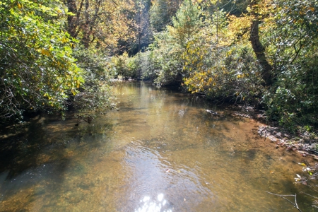1.5 Story Home - 31 Acres - Located In Patrick County, Va - image 11