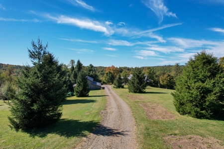 1.5 Story Home - 31 Acres - Located In Patrick County, Va - image 43