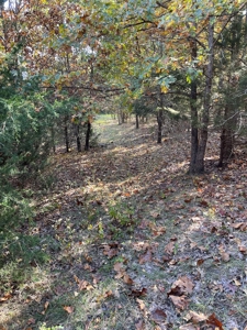 Country Log Home and Land - image 18