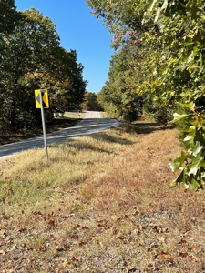 Country Log Home and Land - image 2