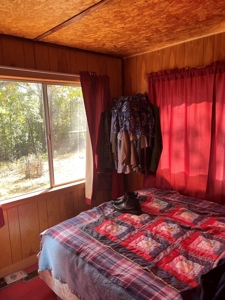 Country Log Home and Land - image 27
