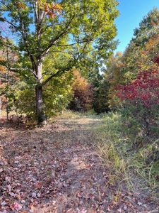 Country Log Home and Land - image 8