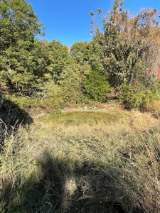 Country Log Home and Land - image 11