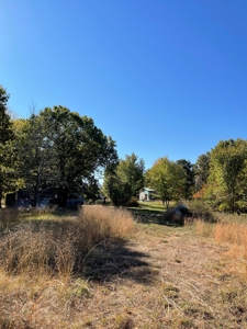 Country Log Home and Land - image 20
