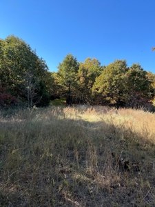 Country Log Home and Land - image 17