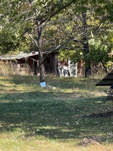 Country Log Home and Land - image 6
