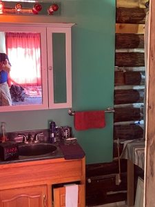 Country Log Home and Land - image 28