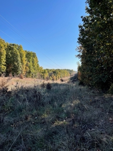 Country Log Home and Land - image 12
