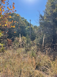 Country Log Home and Land - image 35