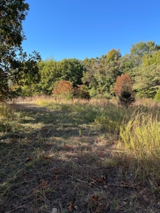 Country Log Home and Land - image 7