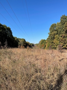 Country Log Home and Land - image 13