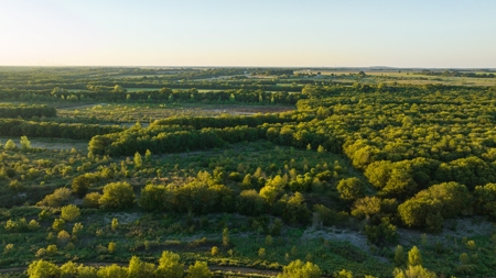 TX Hunting Property South of DFW for Sale Palmer in Ellis Co - image 27