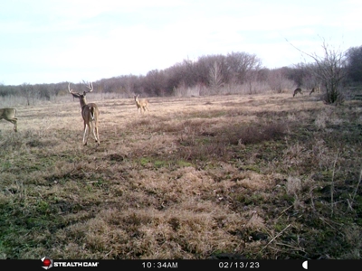 TX Hunting Property South of DFW for Sale Palmer in Ellis Co - image 39
