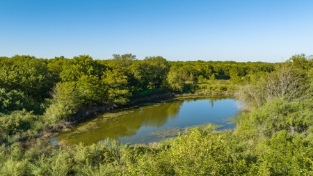 TX Hunting Property South of DFW for Sale Palmer in Ellis Co - image 12