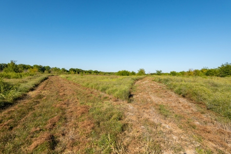 TX Hunting Property South of DFW for Sale Palmer in Ellis Co - image 4