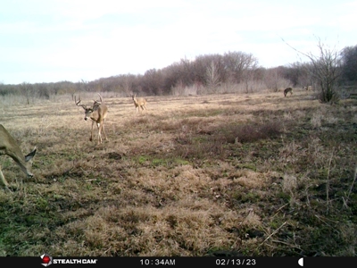 TX Hunting Property South of DFW for Sale Palmer in Ellis Co - image 40