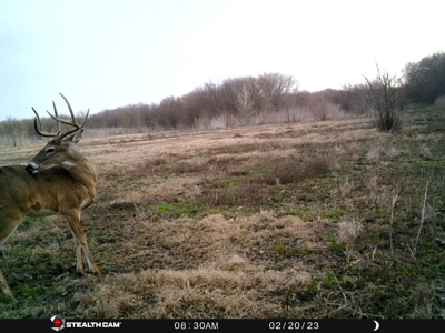 TX Hunting Property South of DFW for Sale Palmer in Ellis Co - image 42