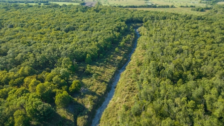 TX Hunting Property South of DFW for Sale Palmer in Ellis Co - image 10