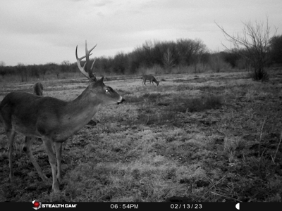 TX Hunting Property South of DFW for Sale Palmer in Ellis Co - image 41