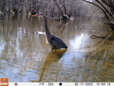 TX Hunting Property South of DFW for Sale Palmer in Ellis Co - image 34