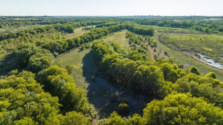 TX Hunting Property South of DFW for Sale Palmer in Ellis Co - image 19