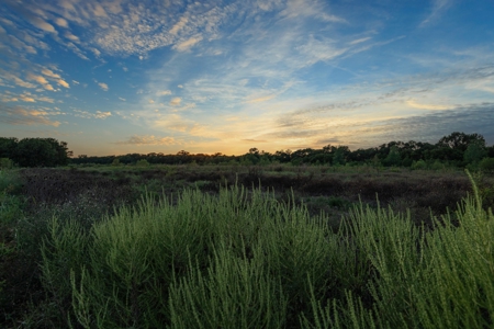 TX Hunting Property South of DFW for Sale Palmer in Ellis Co - image 31