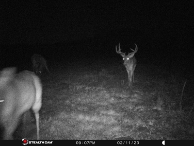 TX Hunting Property South of DFW for Sale Palmer in Ellis Co - image 38