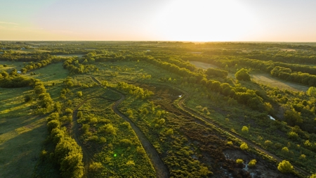 TX Hunting Property South of DFW for Sale Palmer in Ellis Co - image 28
