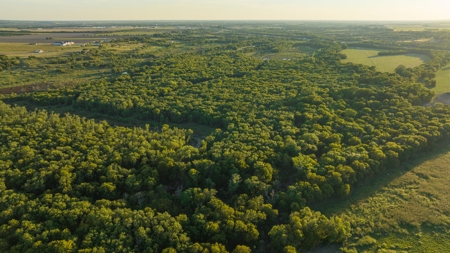 TX Hunting Property South of DFW for Sale Palmer in Ellis Co - image 25