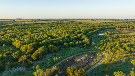 TX Hunting Property South of DFW for Sale Palmer in Ellis Co - image 26