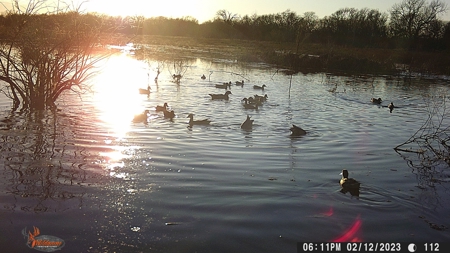 TX Hunting Property South of DFW for Sale Palmer in Ellis Co - image 45
