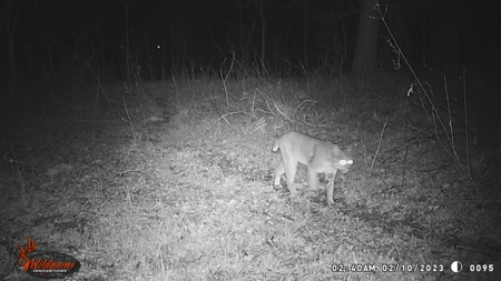 TX Hunting Property South of DFW for Sale Palmer in Ellis Co - image 44